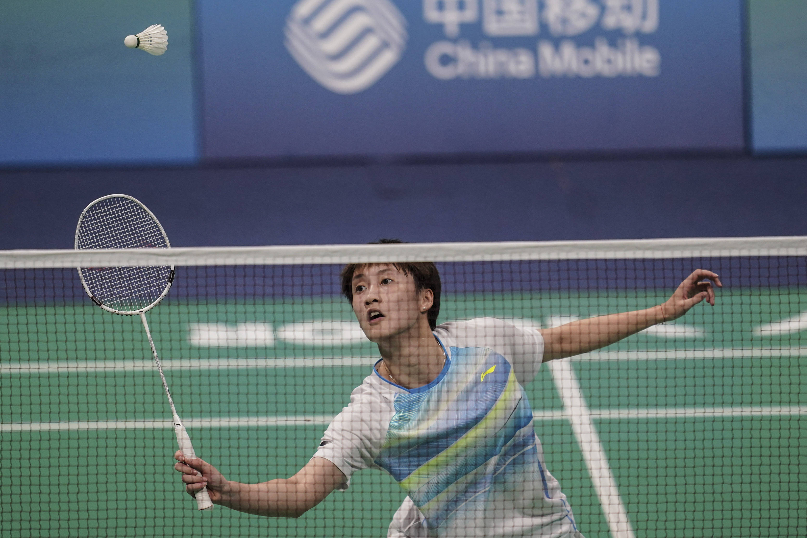 择的坚定态 择的坚定态