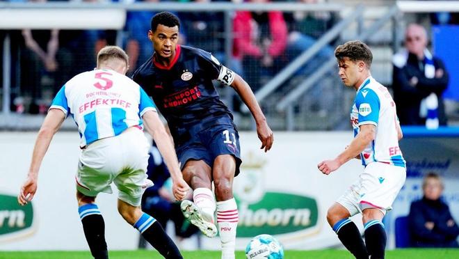 通过合理的 通过合理的